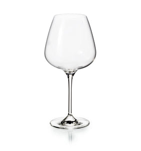 Aroma Set With 4 Wine Tasting Goblets - DSLYF