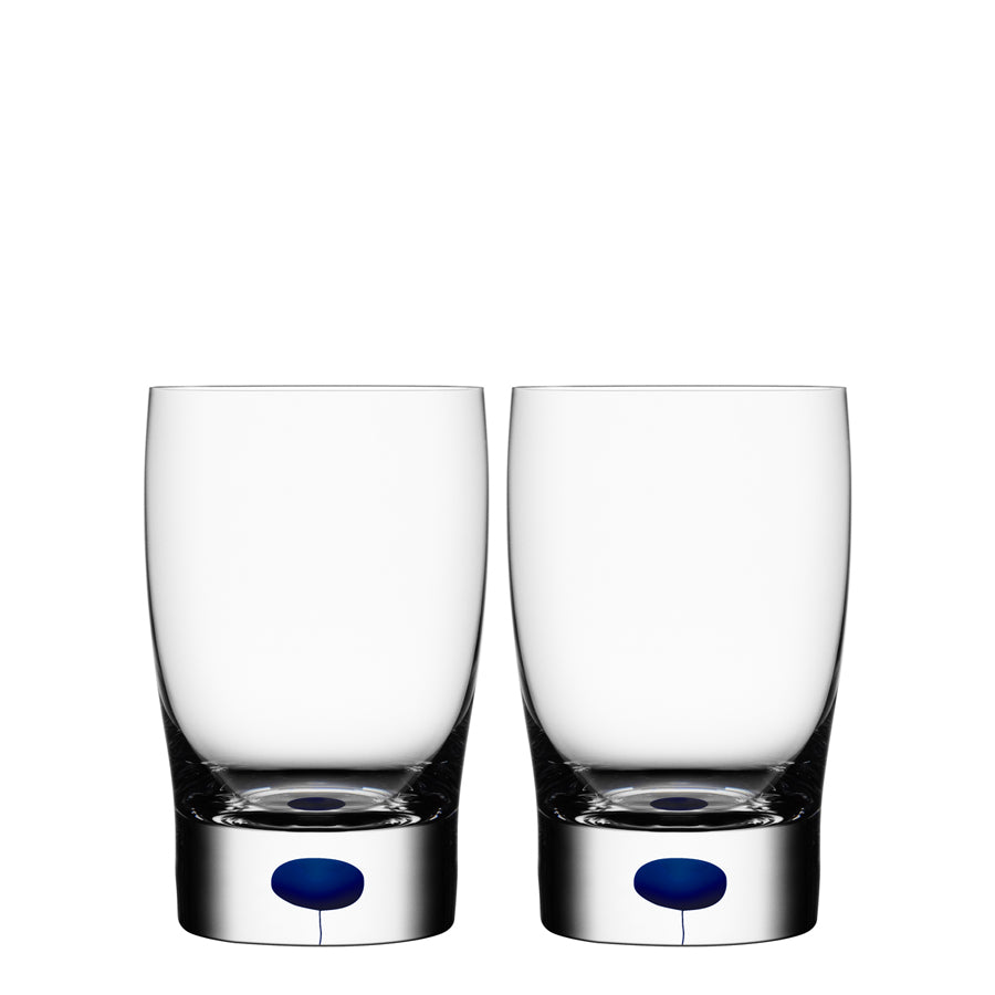 Intermezzo Blue Tumbler/ Juice 2PK - DSLYF